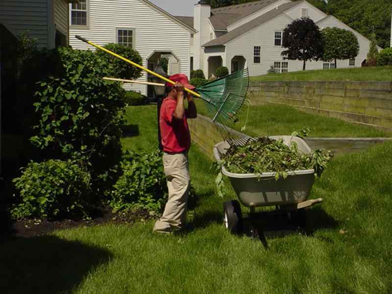 Yard debris cleanup and maintenance