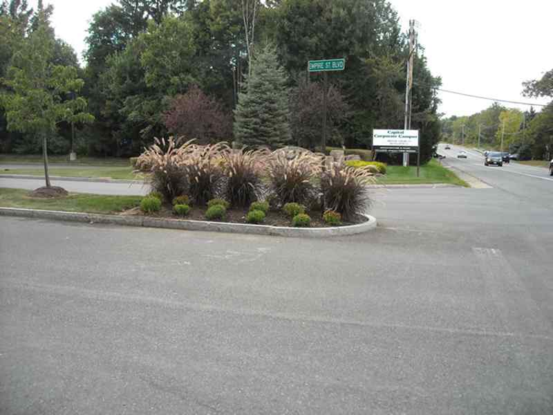 Commercial entrance landscaping with ornamental grasses