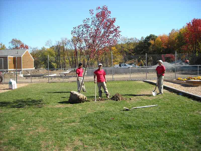 Beautiful residential lawn