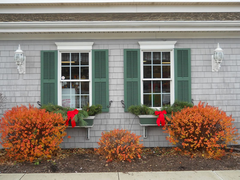 Well-maintained commercial property landscape