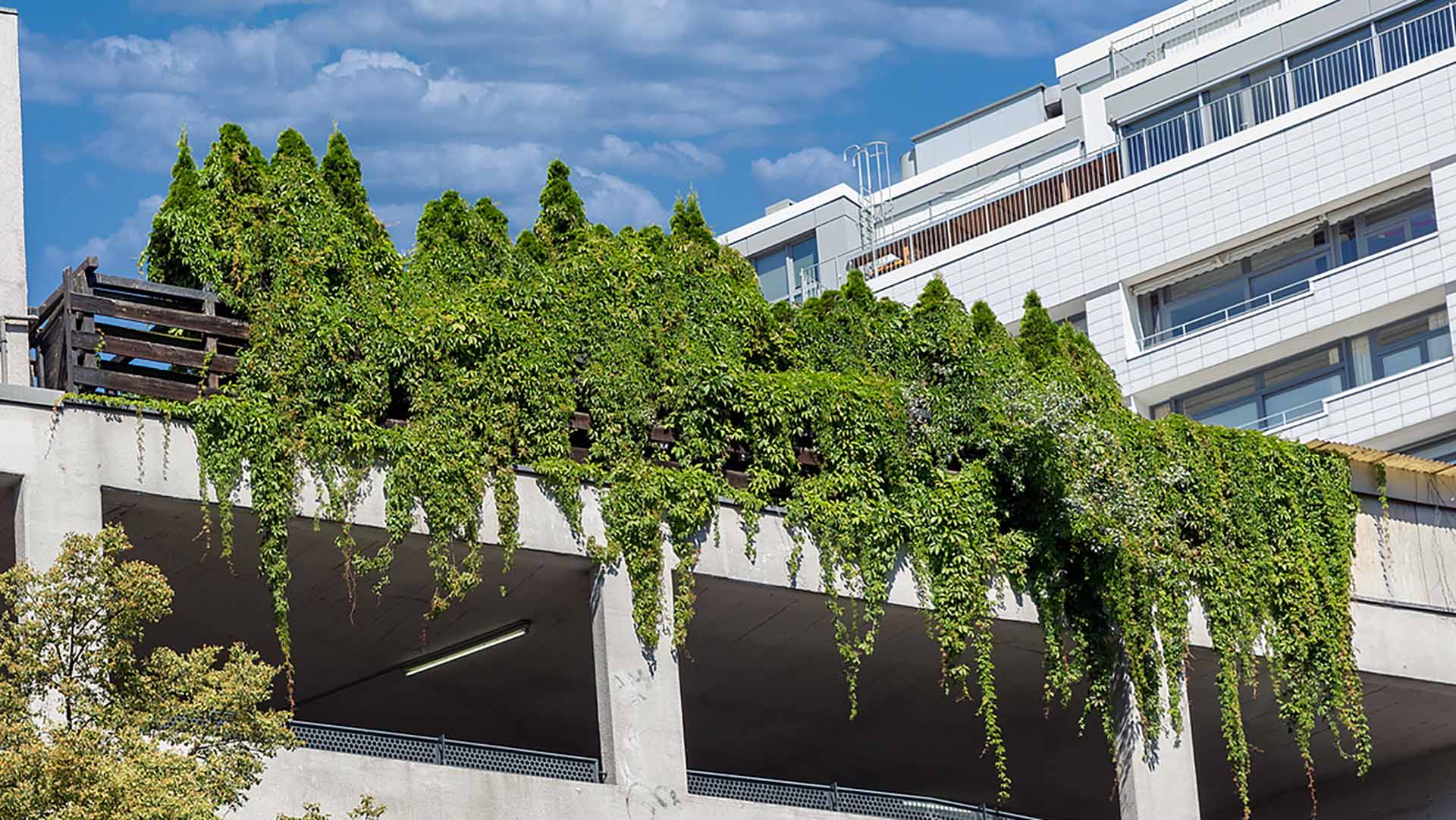 Green roof installation on commercial building